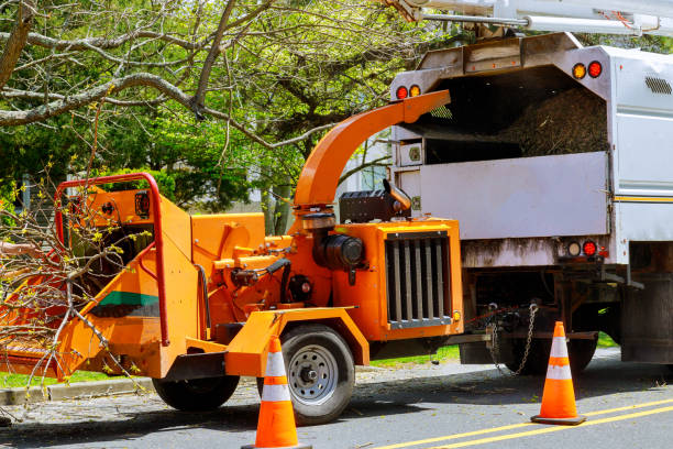 Best Commercial Tree Services  in Juneau, WI