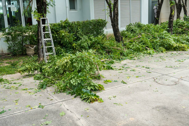 Best Storm Damage Tree Cleanup  in Juneau, WI