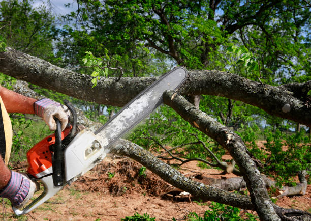 Soil Testing and Treatment in Juneau, WI